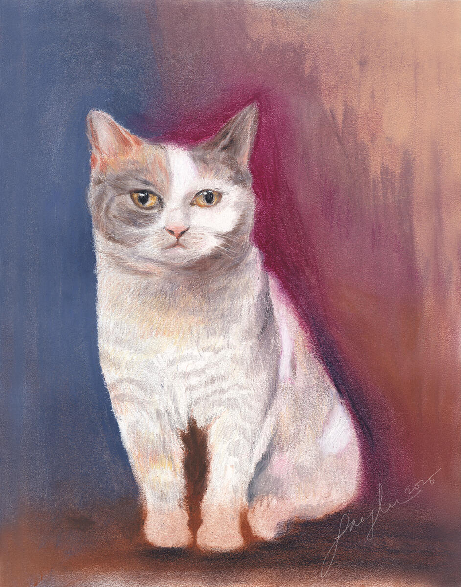 pet portrait 5